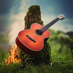 Calm Companions: Relaxing Guitar Music for Pets - Spanish Guitar Cafe Music