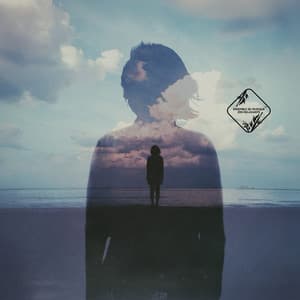 Le Poids Léger des Ombres Flottantes - Ensemble de Musique Zen Relaxante