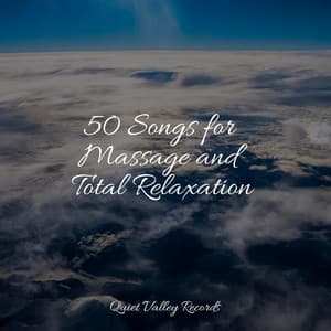 50 Songs for Massage and Total Relaxation - Rain Sound Plus