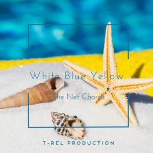 White Blue Yellow - The Net Chords