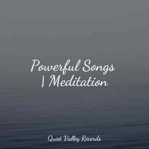 Powerful Songs | Meditation - Studying Music