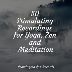 50 Stimulating Recordings for Yoga, Zen and Meditation - Natural Rain Sounds for Sleeping