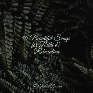 50 Beautiful Songs for Reiki & Relaxation - Nature Sound Collection