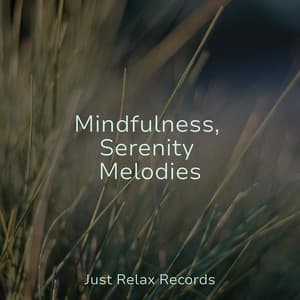 Mindfulness, Serenity Melodies - Chillout Lounge