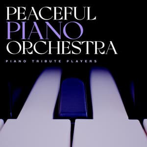 Peaceful Piano Orchestra - Piano Tribute Players