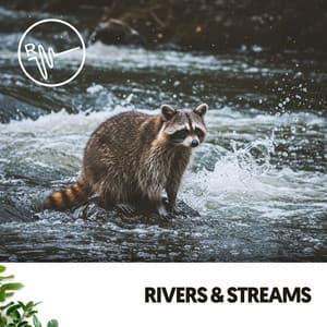 Rivers & Streams: Melodies of Flowing Water - Dog Relaxation
