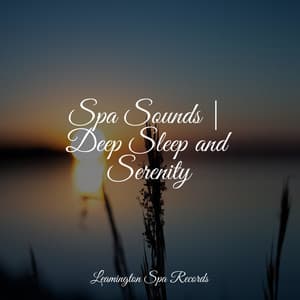 Spa Sounds | Deep Sleep and Serenity - The Sleep Specialist