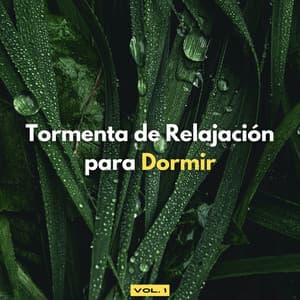 Tormenta De Relajación Para Dormir Vol. 1 - Proyecto Global Tormenta