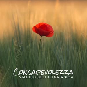 Consapevolezza: Viaggio della tua anima - Magica bella musica - Bella zen rilassante