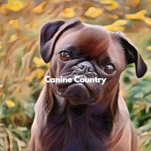 Canine Country - Relaxing Morning Jazz Playlist