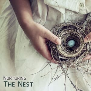 Nurturing The Nest: Soothing Music For Pregnancy - Hypnobirthing Music Company