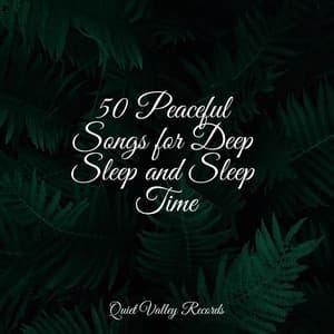 50 Peaceful Songs for Deep Sleep and Sleep Time - Lush Rain Creators