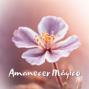 Amanecer Mágico: Melodías Suaves y Sonidos de Naturaleza para Despertar con Energía - Despertar Natural