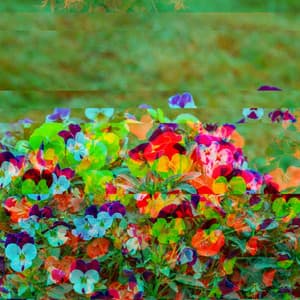 Feelings for Reflection Sounds - Morning Chill Playlist