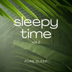 Sleepy Time vol. 2 - Sounds of the Jungle