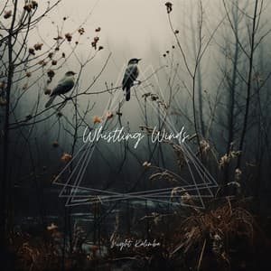 Whistling Winds: Nature’s Soothing Nighttime Melodies - Night Kalimba