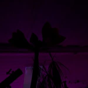 DSTNY - Infinite Calm