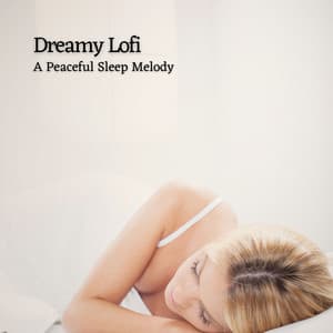 Dreamy Lofi: A Peaceful Sleep Melody - Sleep Sleep Sleep