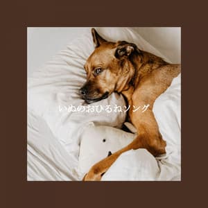 いぬのおひるねソング - Thiago Sanchez Jazz Quartet