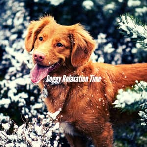 Doggy Relaxation Time - Dog Separation Anxiety Music