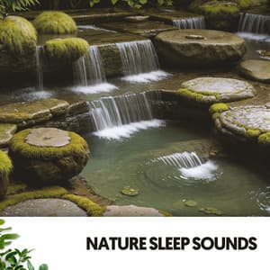Nature Sleep Sounds: Enchanted Forest Songs - Solfeggio Frequencies 528Hz