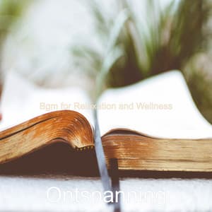 Bgm for Relaxation and Wellness - Ontspanning