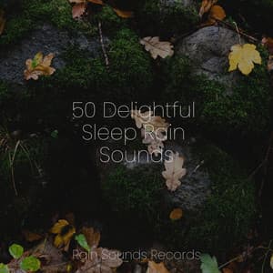 50 Delightful Sleep Rain Sounds - Natureza