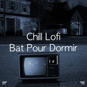 Chill Lofi Bat Pour Dormir - LO-FI BEATS