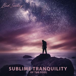 Sublime Tranquility of the Soul - Bud Souley
