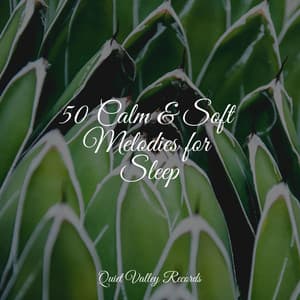 50 Calm & Soft Melodies for Sleep - Brown Noise