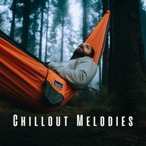 Chillout Melodies: Music for Relaxation Moments - Korean Chill