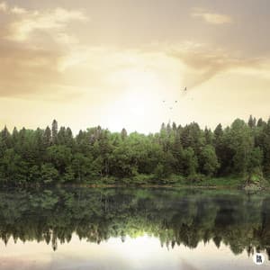 At the lake in the quiet and calm afternoon - BGM Teacher