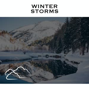 Winter Storms - Serene Rose