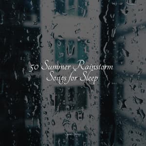 50 Summer Rainstorm Songs for Sleep - Shakuhachi Sakano