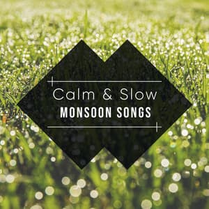 #16 Calm & Slow Monsoon Songs - Ambient Nature White Noise