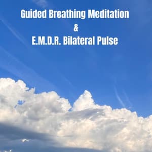 Guided Breathing Meditation and E.M.D.R. Bilateral Pulse - Emotional Healing