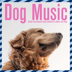 Dog Music: Gentle Instrumental Song Collection to Relax Your Dog - Relaxmydog