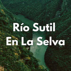 Río Sutil En La Selva - Corriente Meteorica
