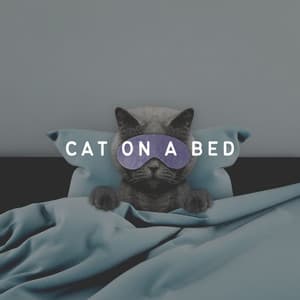 Cat on a Bed - Cat Music Therapy