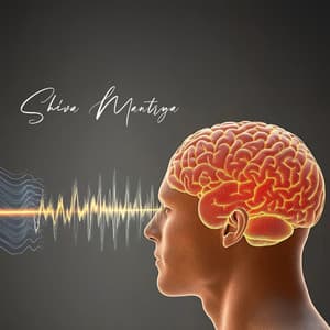 Awaken Your Brain’s Full Power with Healing Frequency - Shiva Mantrya