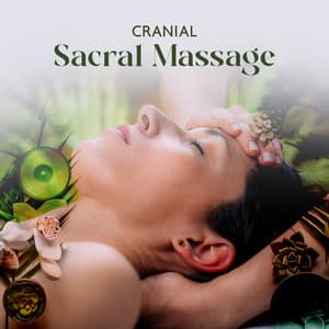 Cranial Sacral Massage: Craniosacral Therapy Music to Relief Tension, Light Touch and Bliss - Spa Music Consort