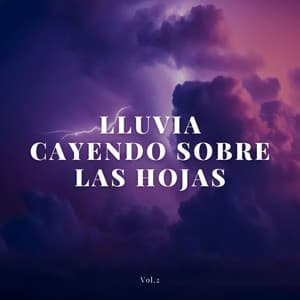 Lluvia Cayendo Sobre Las Hojas Vol. 2 - Nubes maravillosas