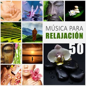 Música para Relajación: New Age para la Masaje y Spa, Meditación Yoga, Dormir Profundamente, Reiki, Ayurveda, Serenidad y Armonia - Academia de Música para el Alma