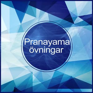Pranayama övningar: Zen meditationsmusik, Andlig utveckling, Djup andningsteknik, Avslappning yogaövningar, Självmotivation - Zen Musik Akademi