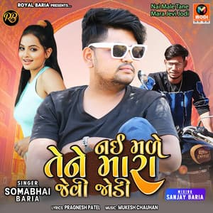 Nai Male Tane Mara Jevi Jodi - Mukesh Chauhan