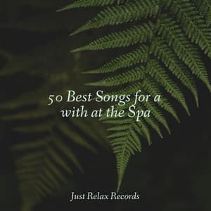 50 Best Songs for a with at the Spa - Kinderliederbande
