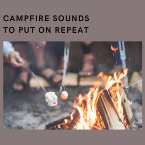 Campfire Sounds to Put On Repeat - Campfire & Fireplace