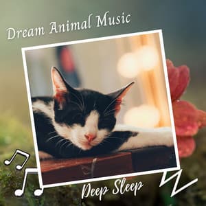 Deep Sleep: Dream Animal Music - Sleep Music