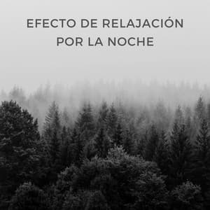 Efecto De Relajación Por La Noche - Sonido relajante de la naturaleza