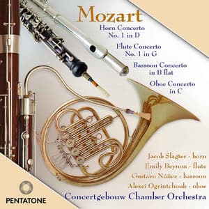 Mozart: Wind Concertos - Wolfgang Amadeus Mozart